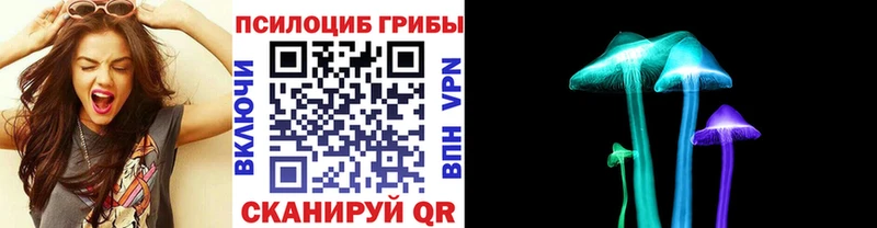 Галлюциногенные грибы GOLDEN TEACHER  как найти закладки  Плавск 